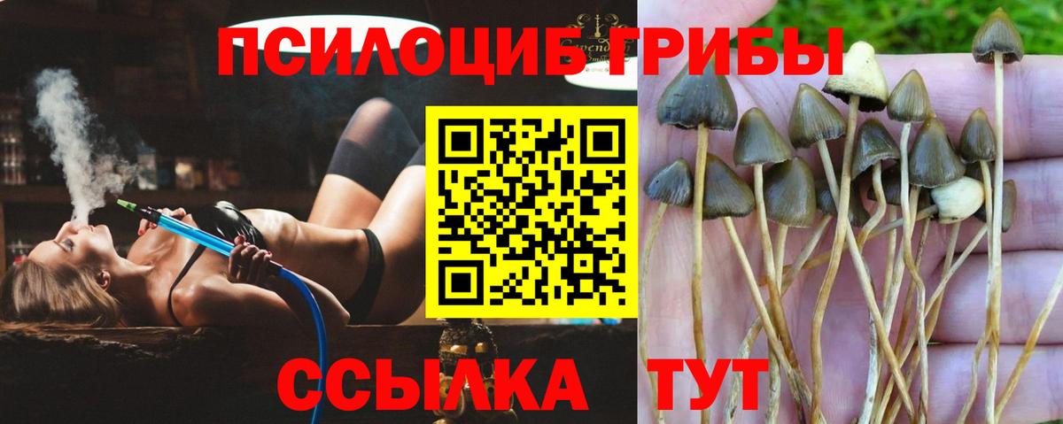 Галлюциногенные грибы Magic Shrooms Славянск-на-Кубани