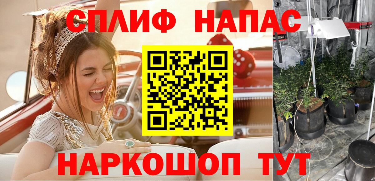 Канабис ГИДРОПОН  Каннабис планчик  Славянск-на-Кубани  Канабис сатива 